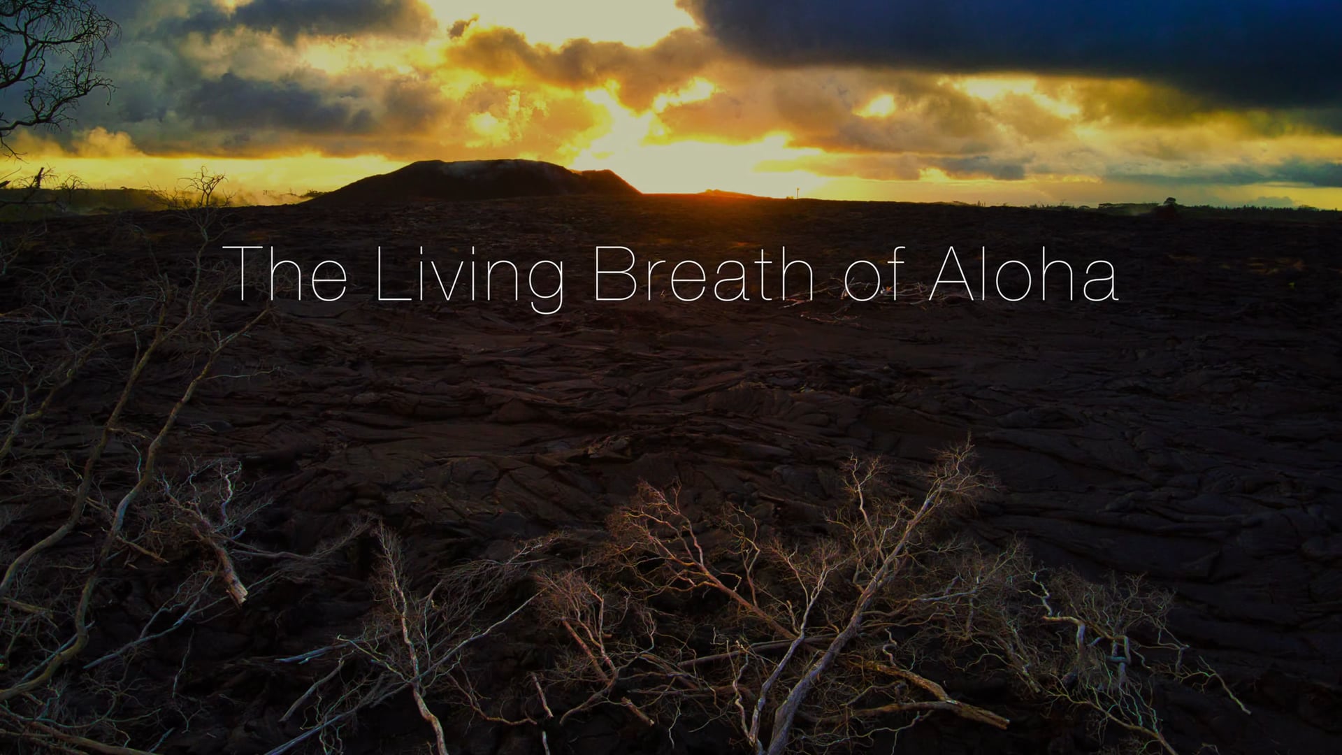 The Living Breath