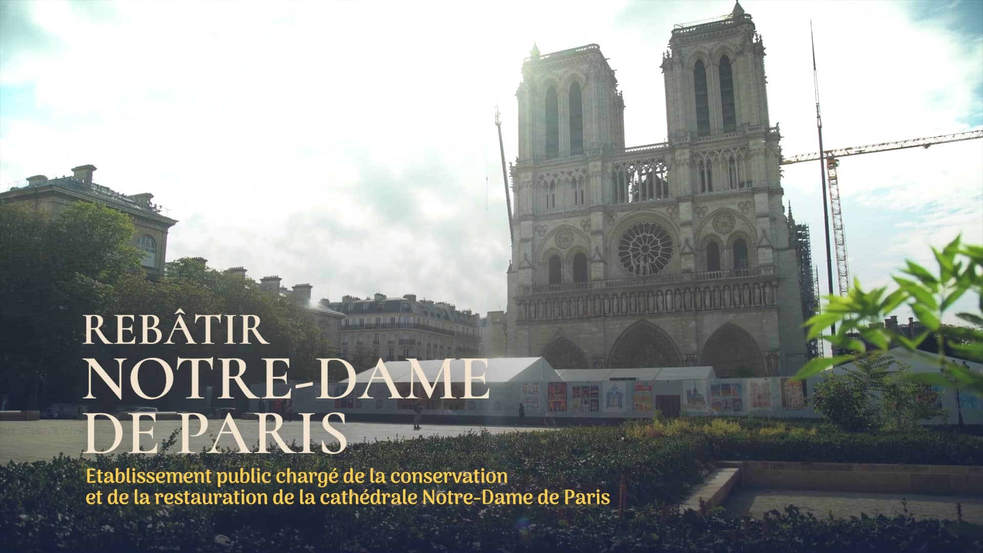 reb-tir-notre-dame-de-paris-on-vimeo