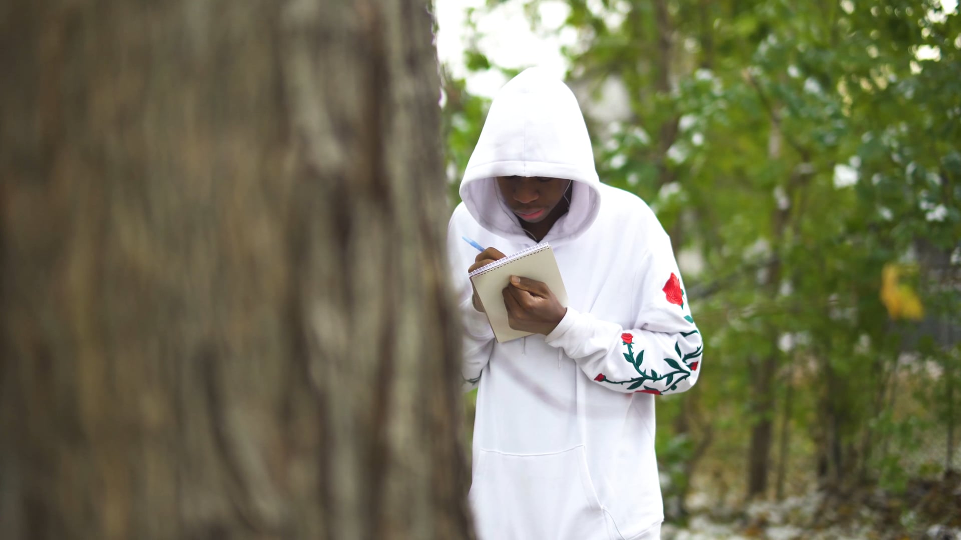 Sample: Discovering Pine Street Short