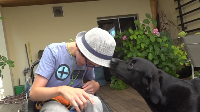 Assistenzhund – mehr als ein Haustier