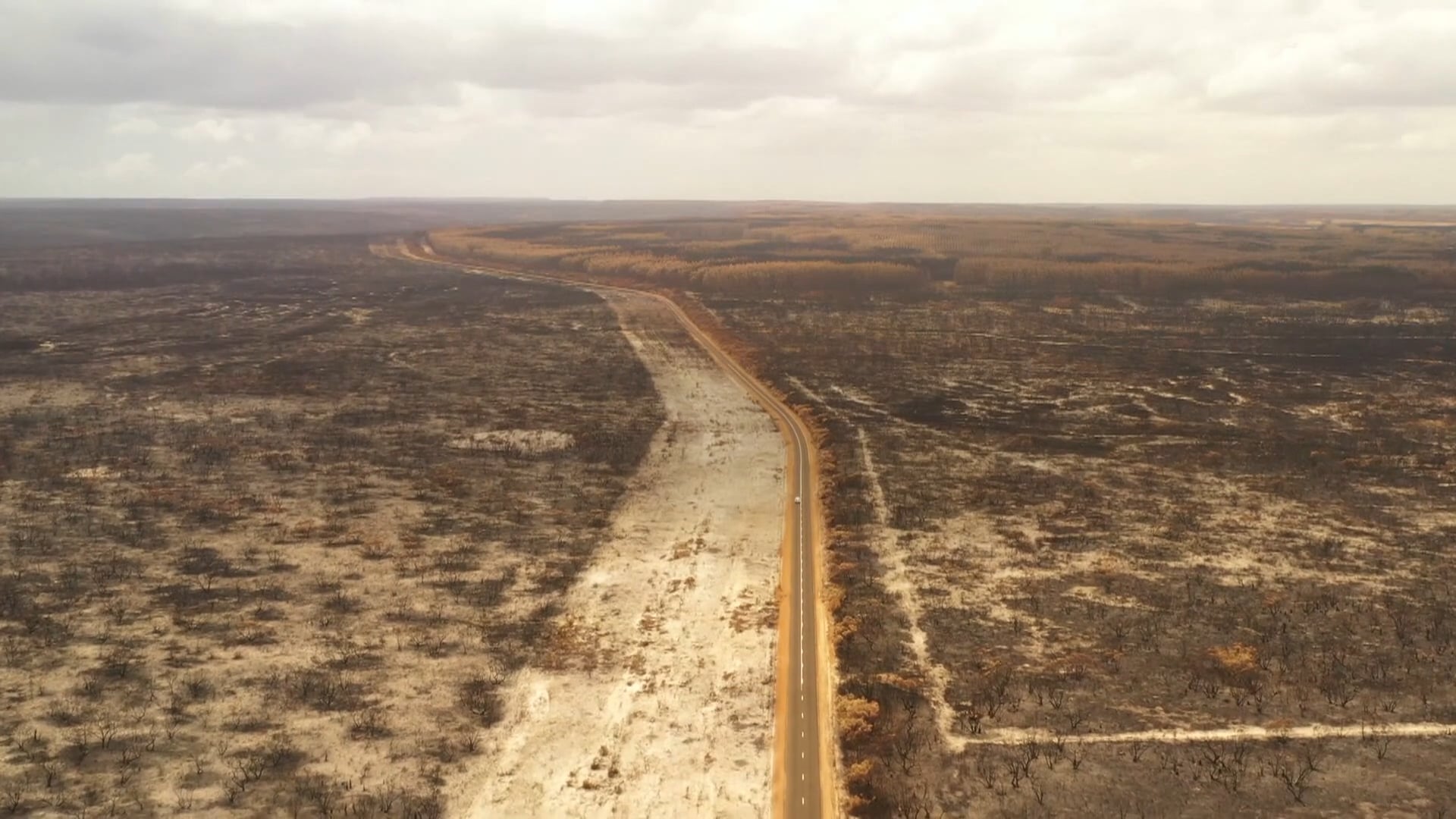 Australia's Wildlife Emergency