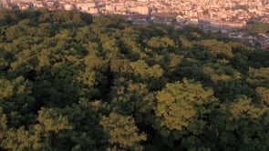 LES MOTS DE LA CITÉ