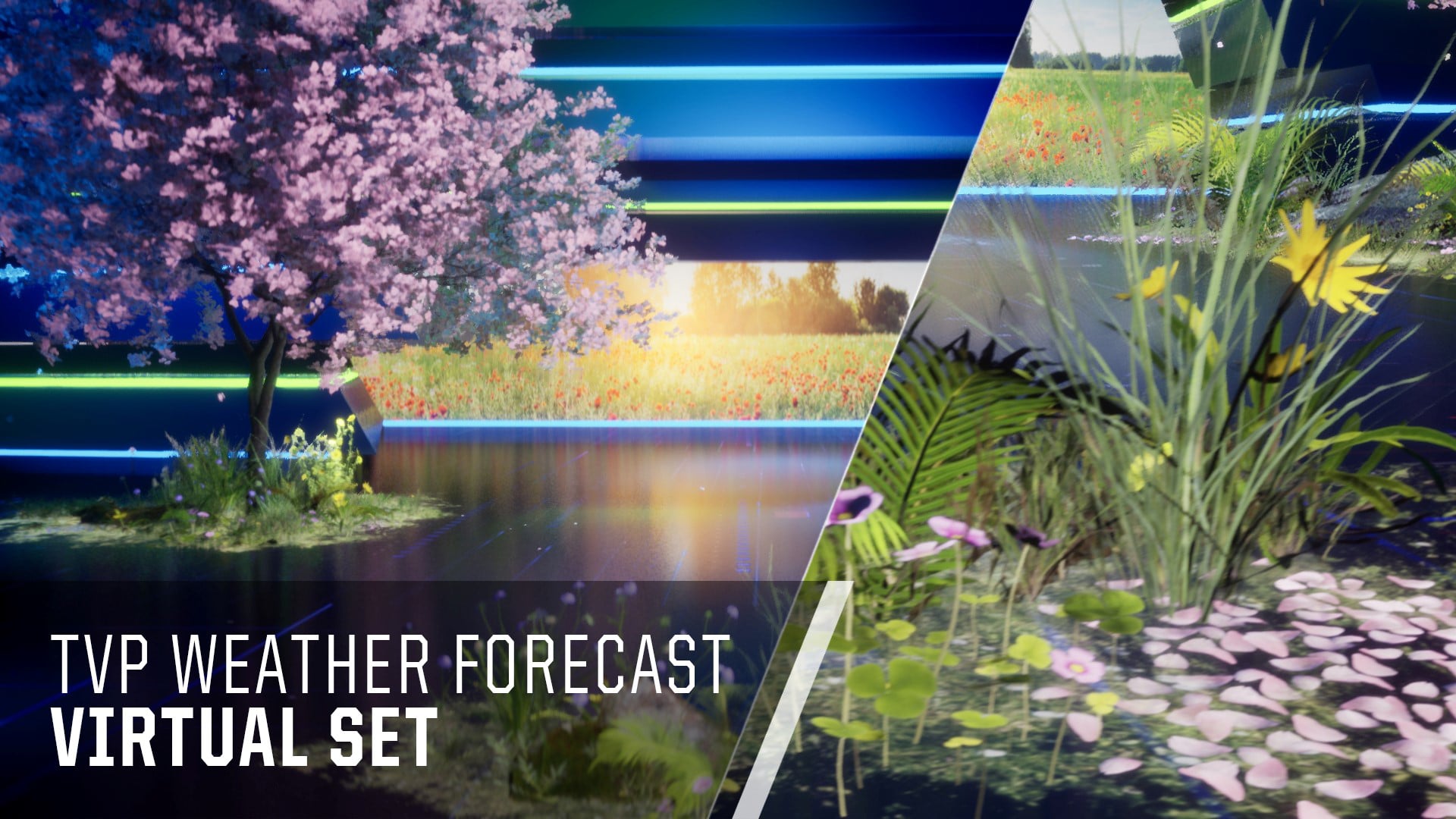 TVP | Weather Forecast | Virtual Set