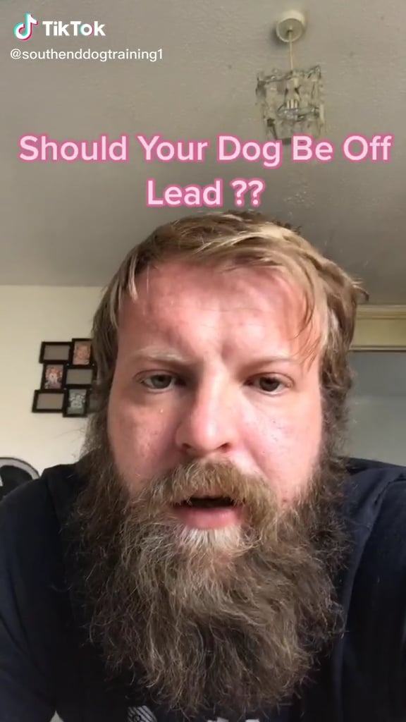 Should your dog be off lead? on Vimeo