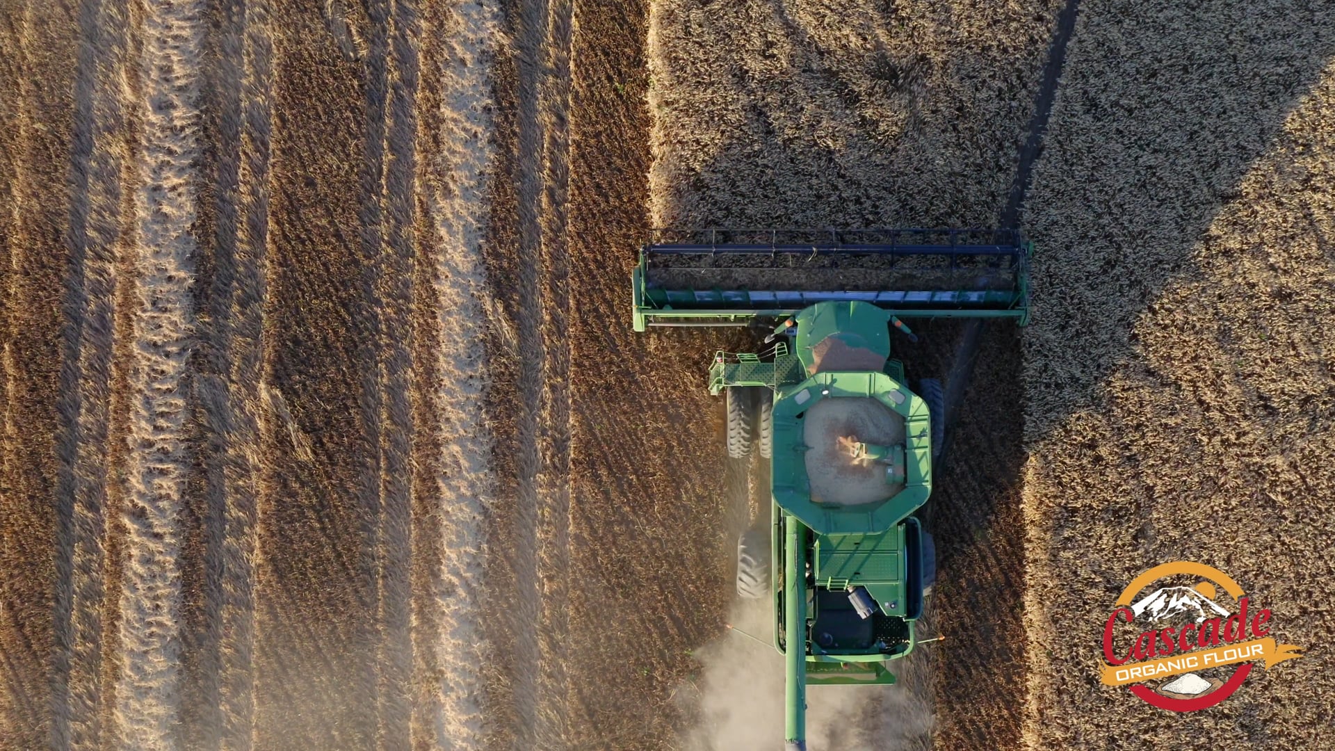 Cascade Flour Story