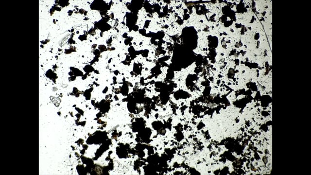 SU569924 (2019-20)