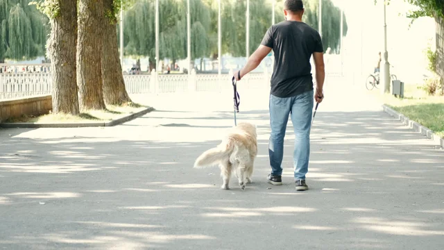 Blind Man with Cane Walking on A Sidewal, Stock Video