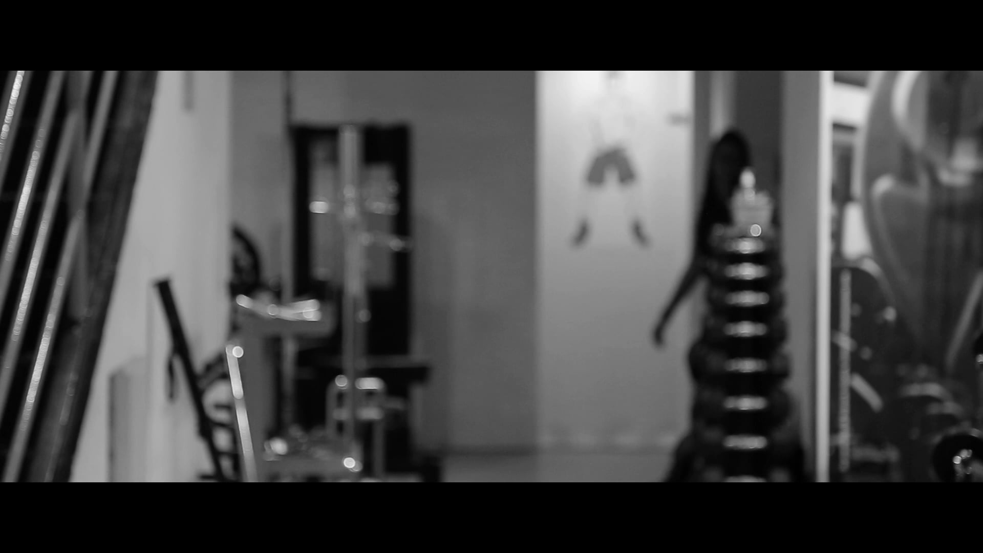 Videos