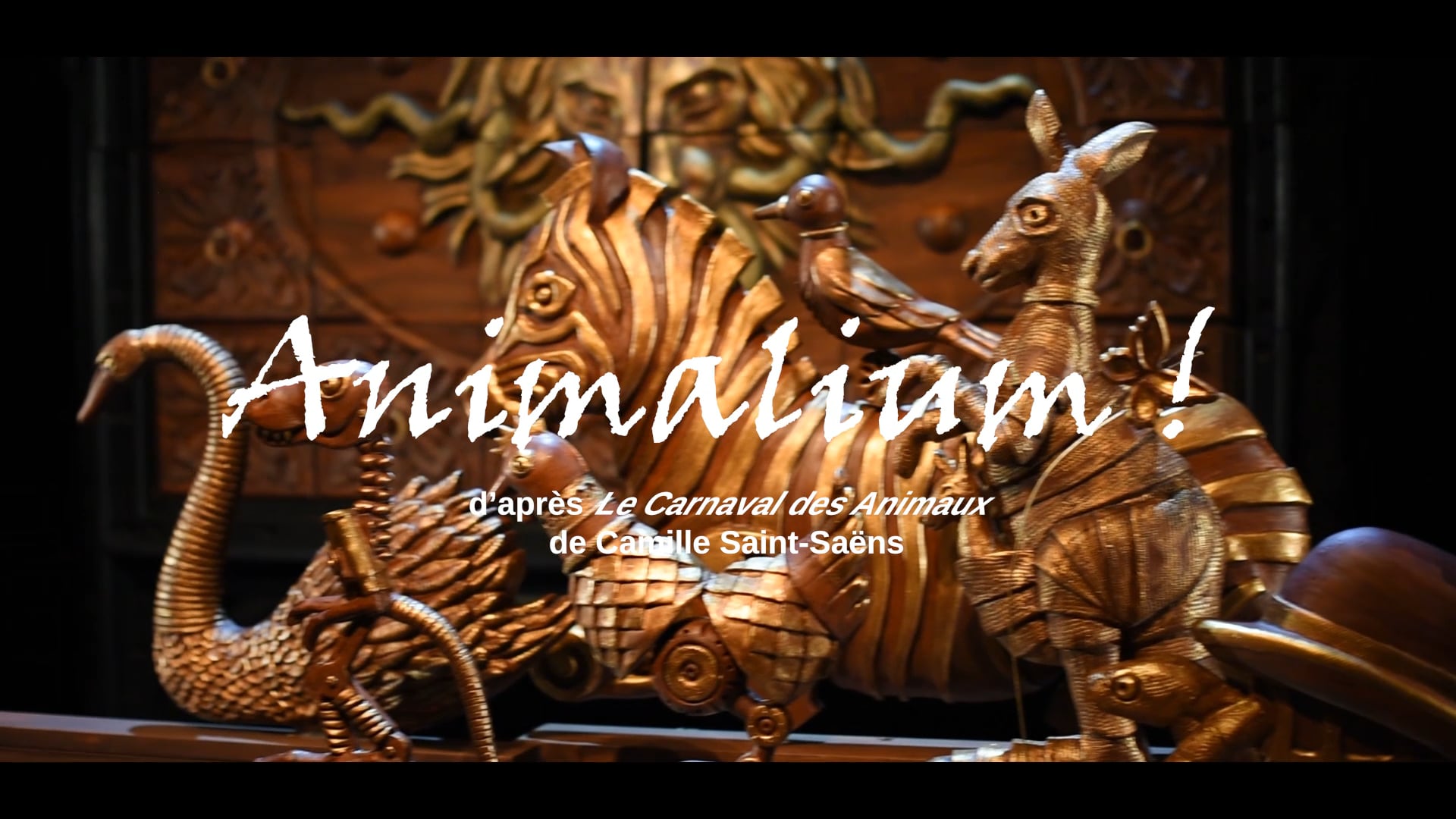 Animalium !