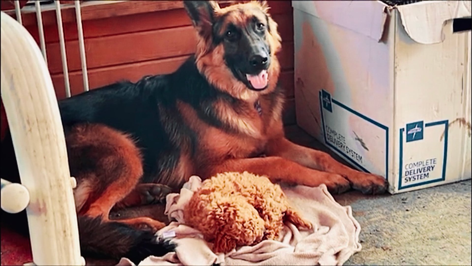 Days of Play — Brownie Barks, ‘Is This Love’ That I’m Feelin? Ep. 23