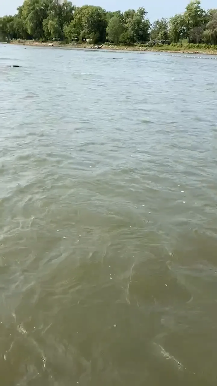 Rocky riffles on Vimeo