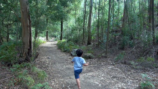 Boy Child Run - Free video on Pixabay