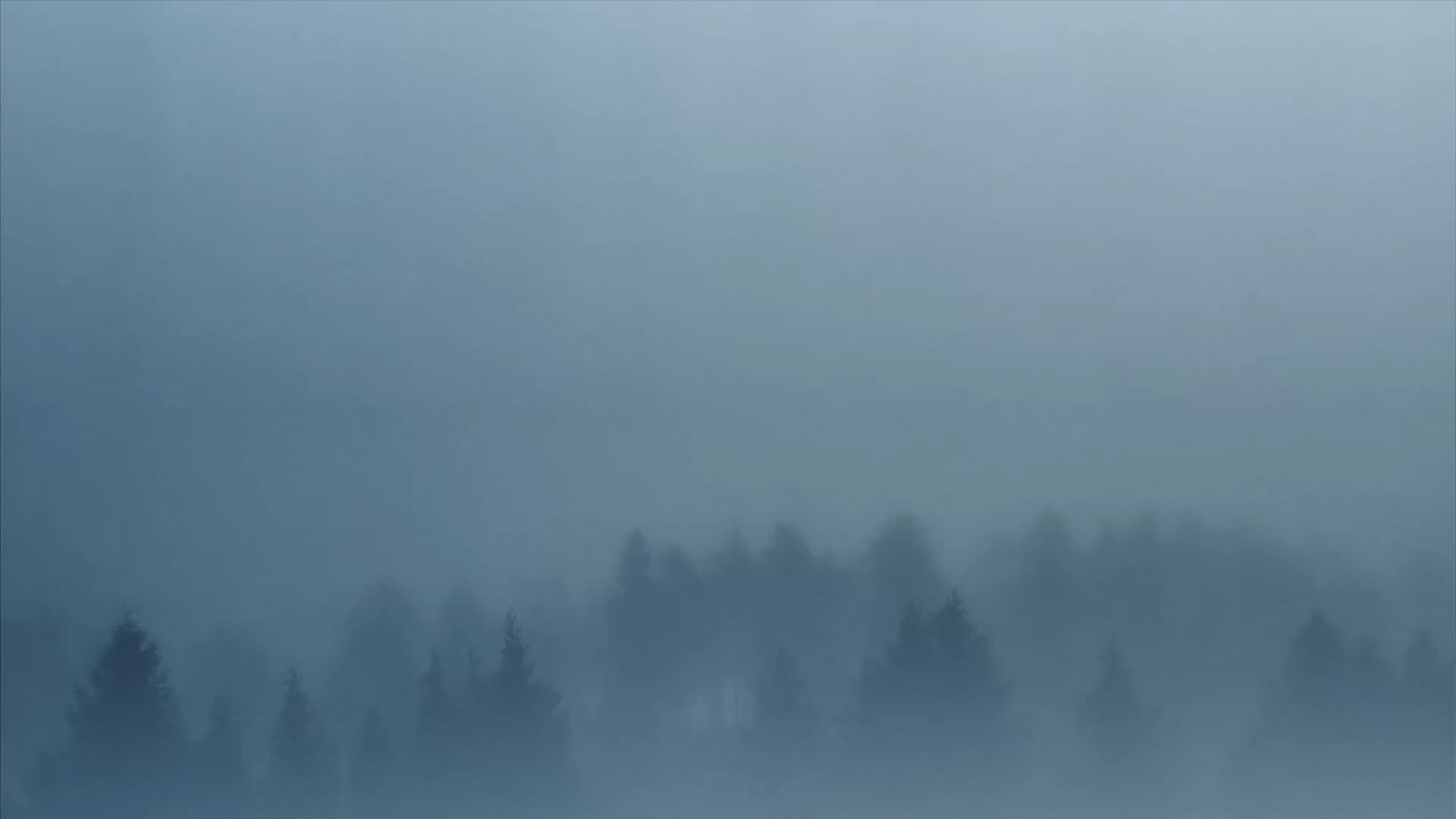 Herrmans Bike Components Trailer