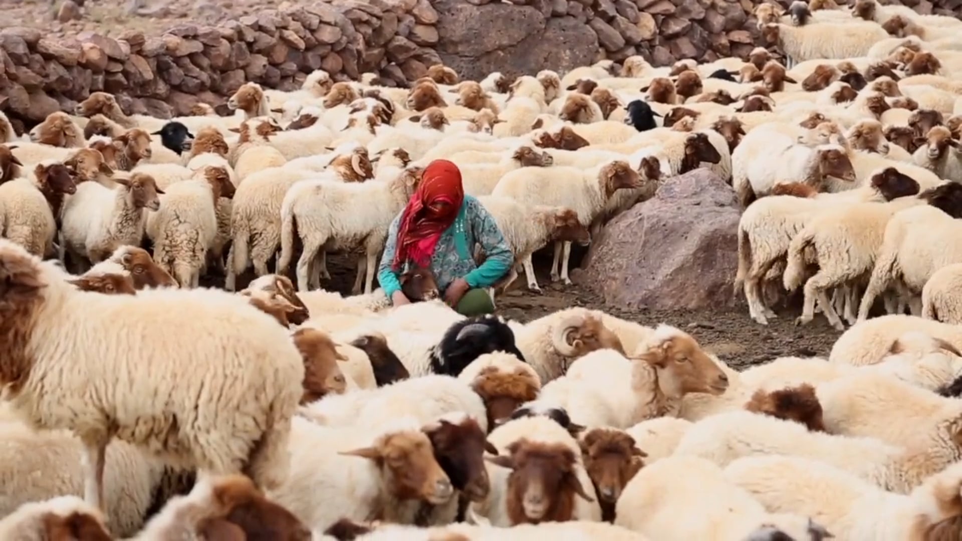 Award Winning Doc Film: Ait Atta Nomads of the High Atlas