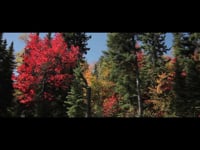 Boundary Waters