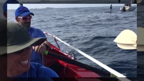L'expedició d'Ocean Cats, passa per l'Escala