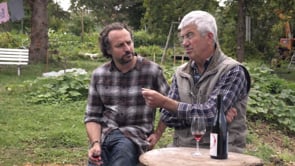 Vignes en biodynamie