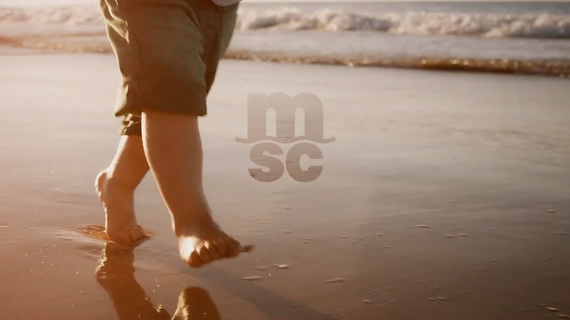 MSC | Passion for the Sea