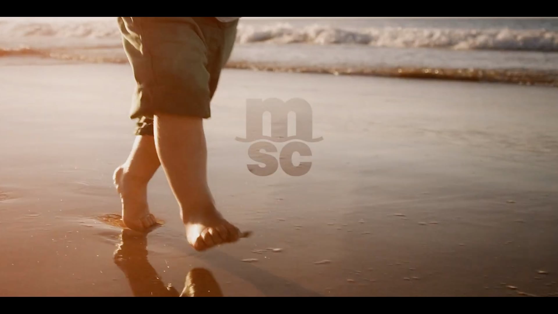 MSC | Passion for the Sea