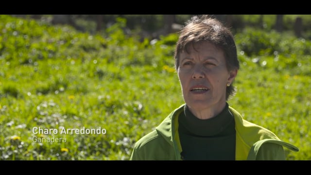 Charo Arredondo