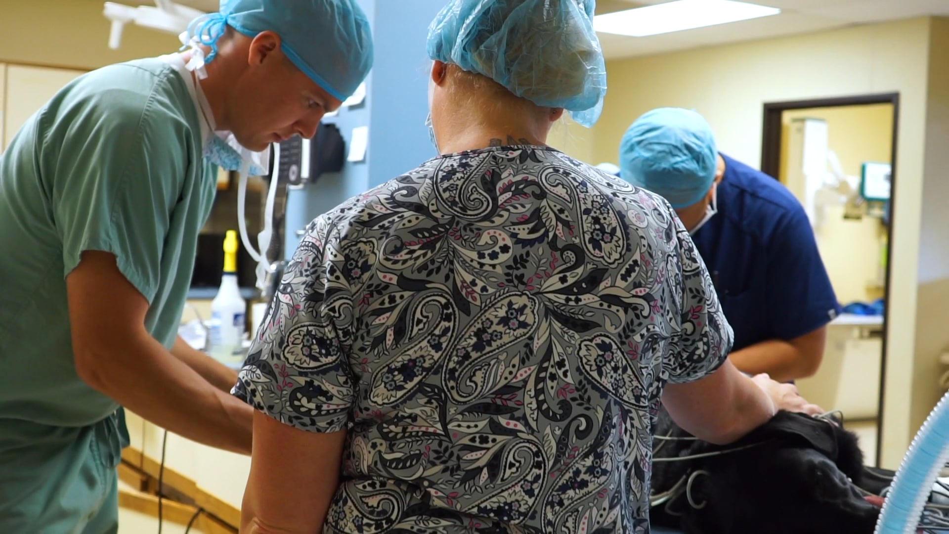 On the Spot Vet Surgeons | Brand Video