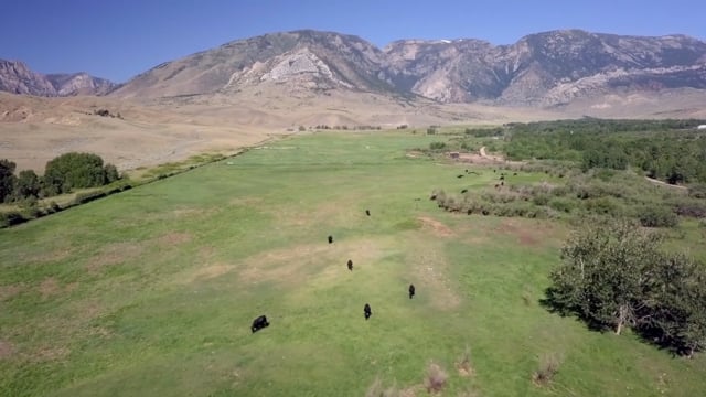 The Historic Tolman Ranch  |  Clark, Wyoming