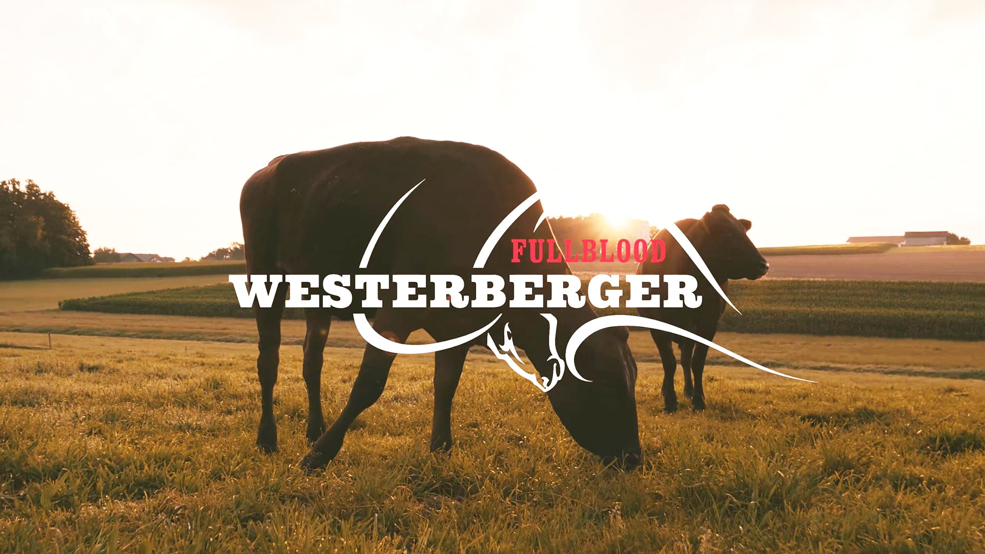 Imagefilm: Westerberger Episode 1