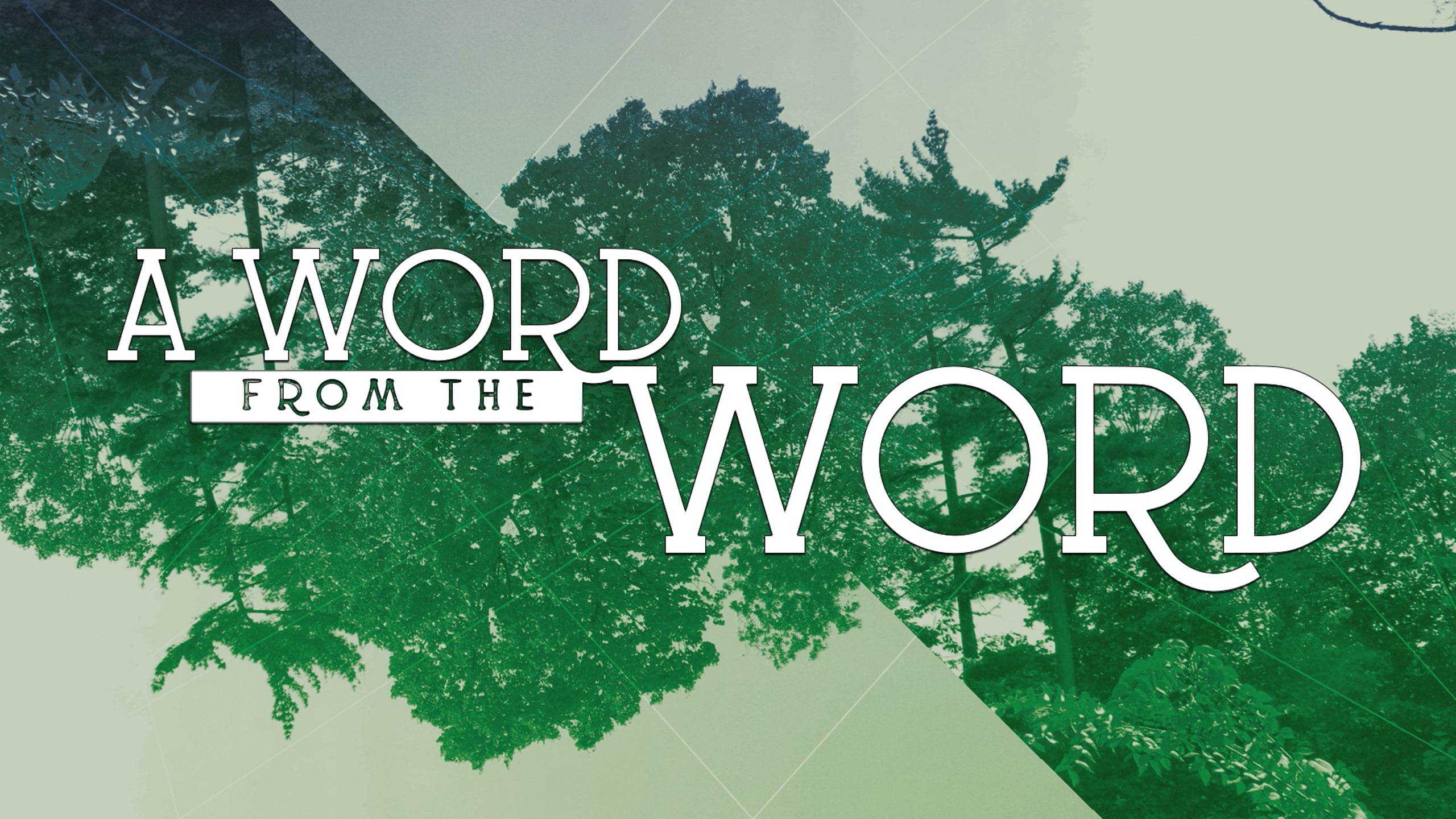 A word from the word 1 timothy 6 11 16 on vimeo