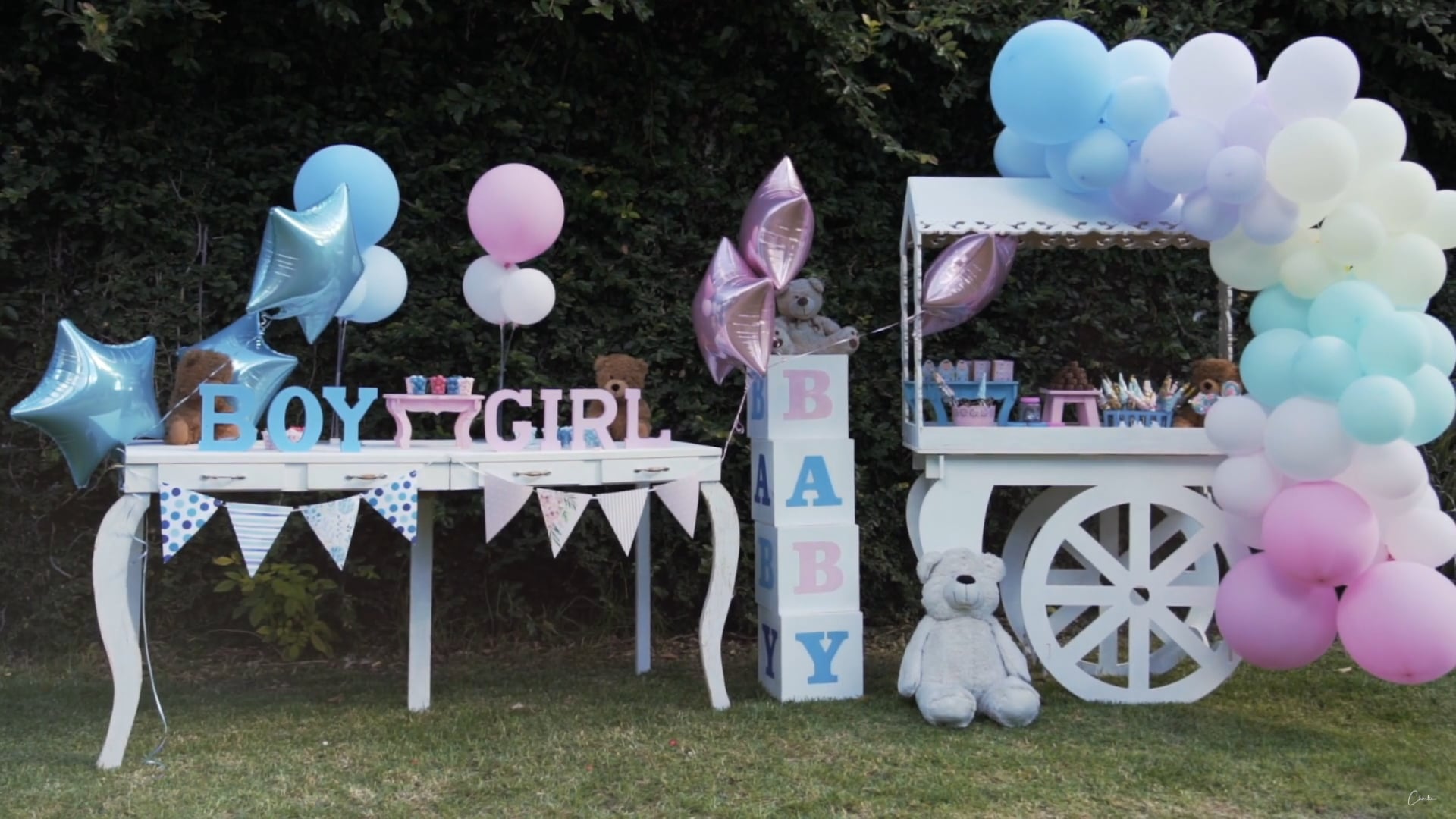 GENDER REVEAL
