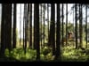 Svarvars SE