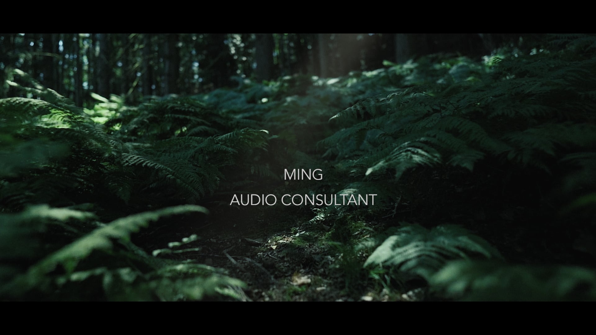 MING - AUDIO CONSULTANT