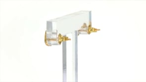 14kt Yellow Gold Moon and Star Earrings with Diamond Accents