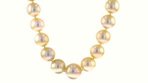 10-13mm Cultured Golden South Sea Pearl Necklace with 14kt Yellow Gold