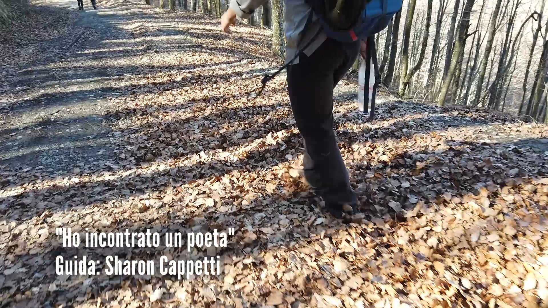 Ho incontrato un poeta