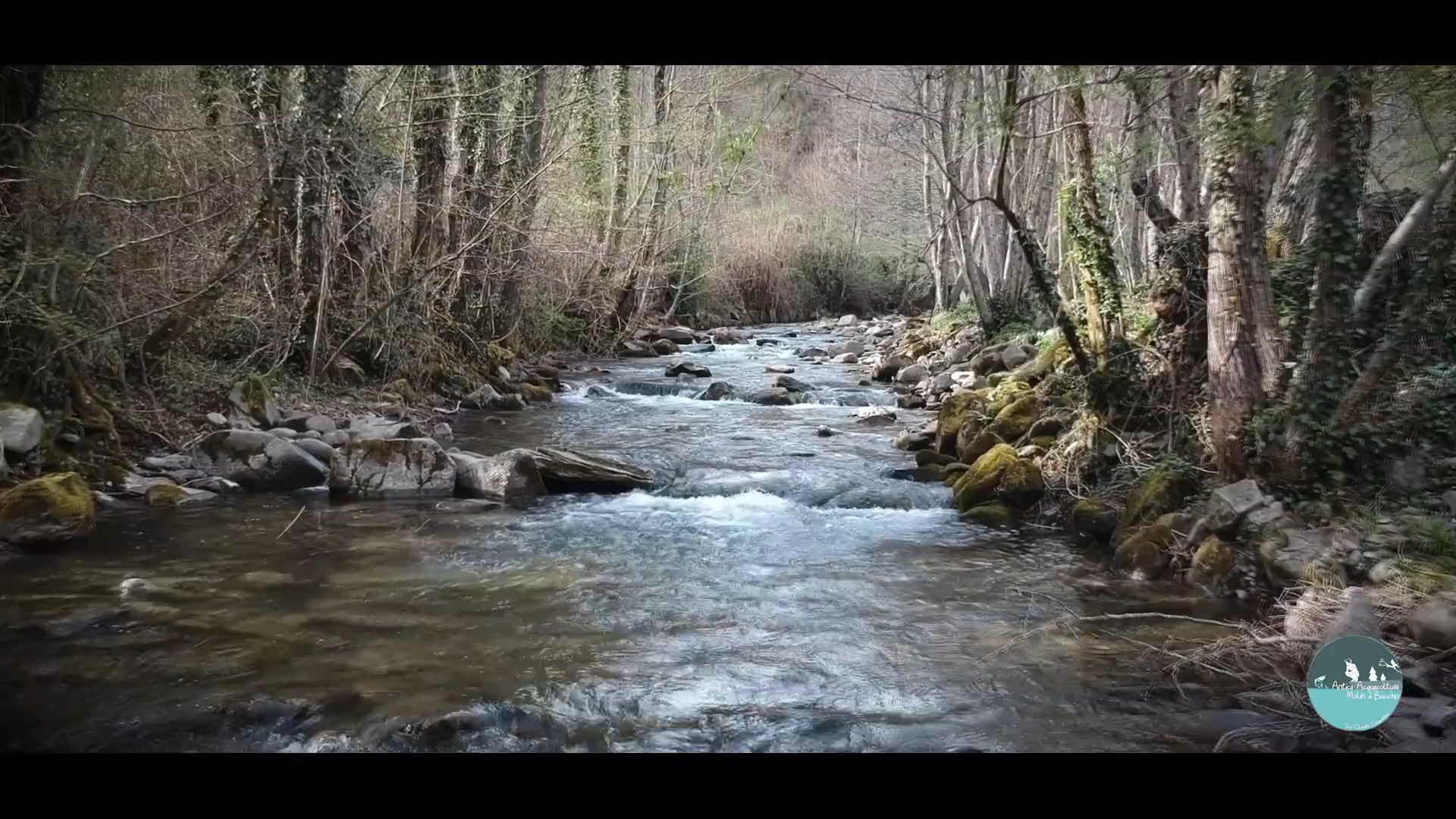 COOPERATIVA INQUIETE - MOLIN DI BUCCHIO