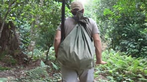 Hunting Logs with a difference in New Caledonia
