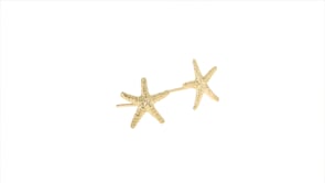 14kt Yellow Gold Starfish Stud Earrings