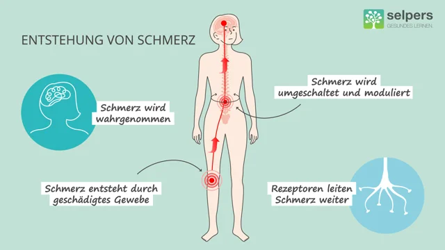 geschädigtes Gehirn durch Medikamente