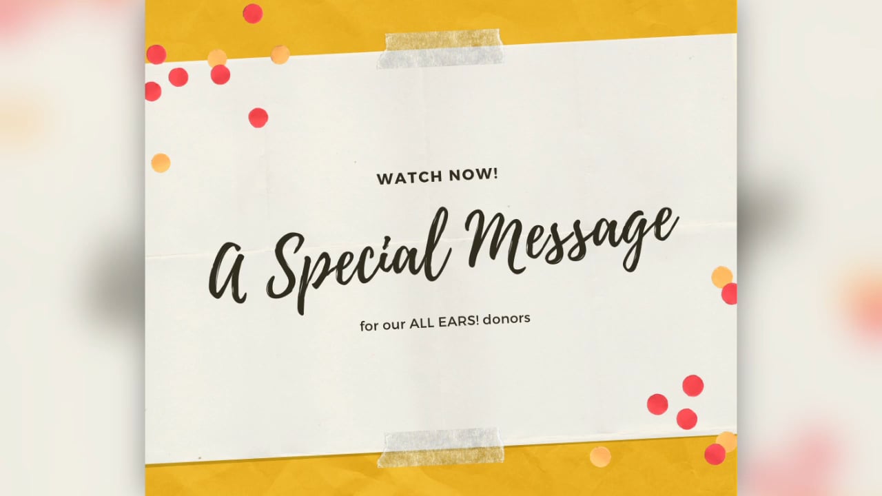 Thank You Fall 2020 on Vimeo