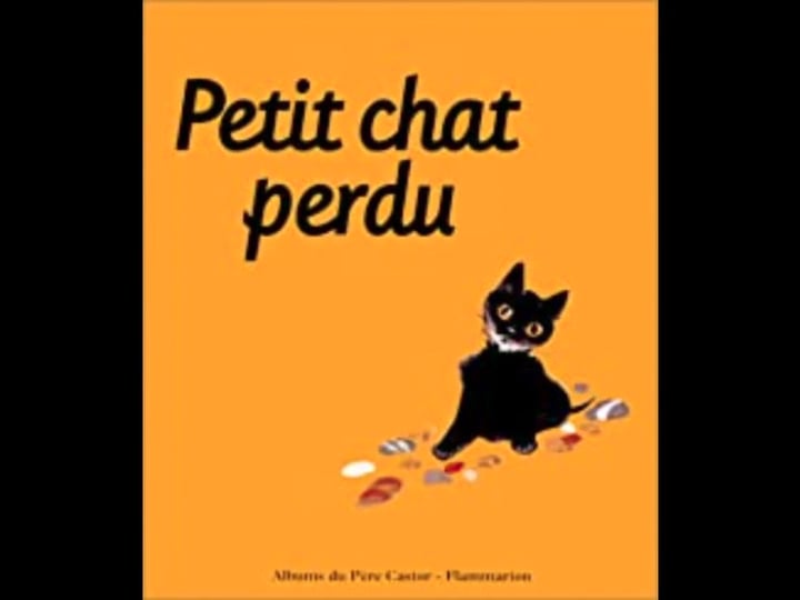 Petit Chat Perdu On Vimeo