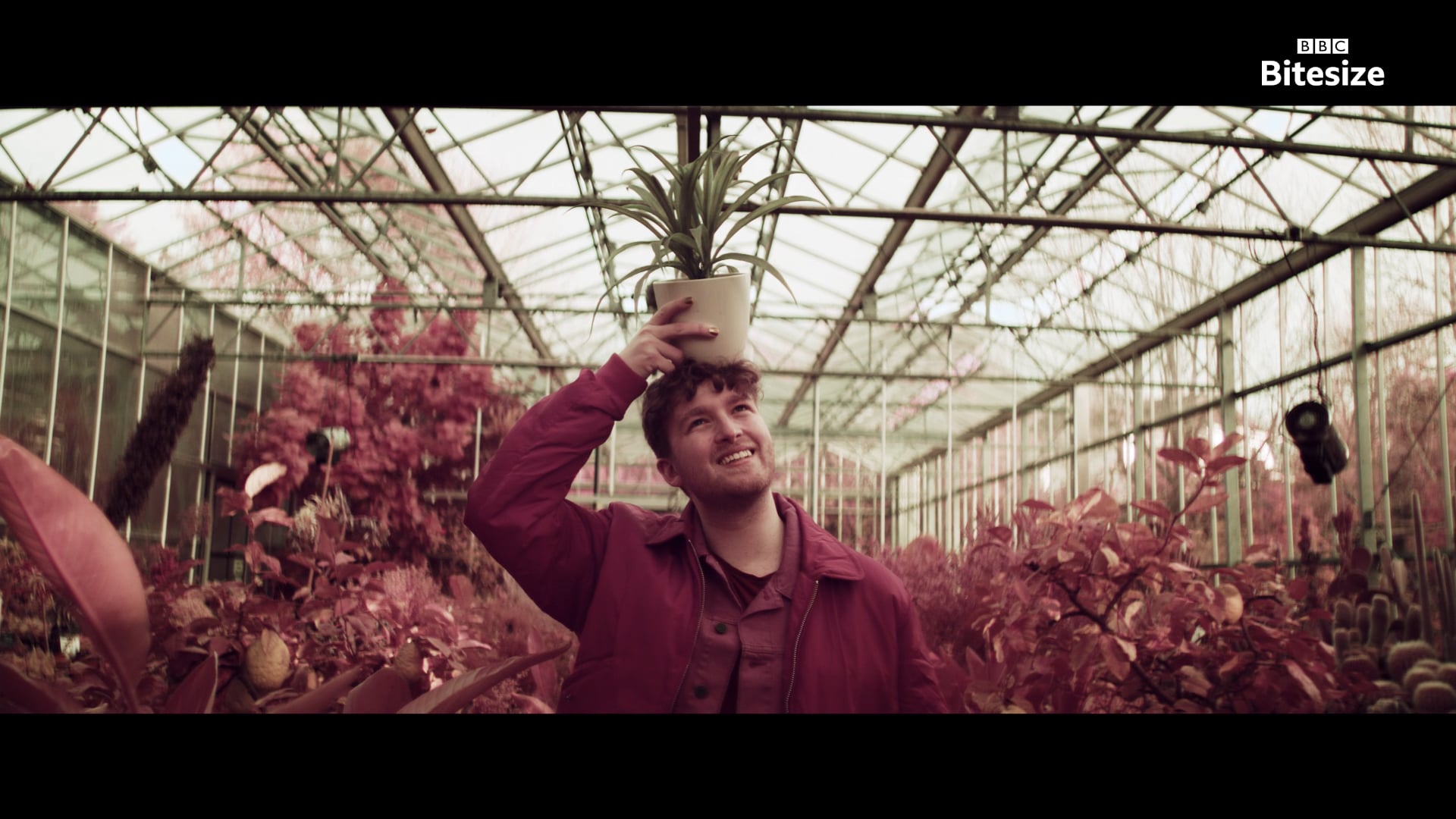 The Future - Tom Denbigh