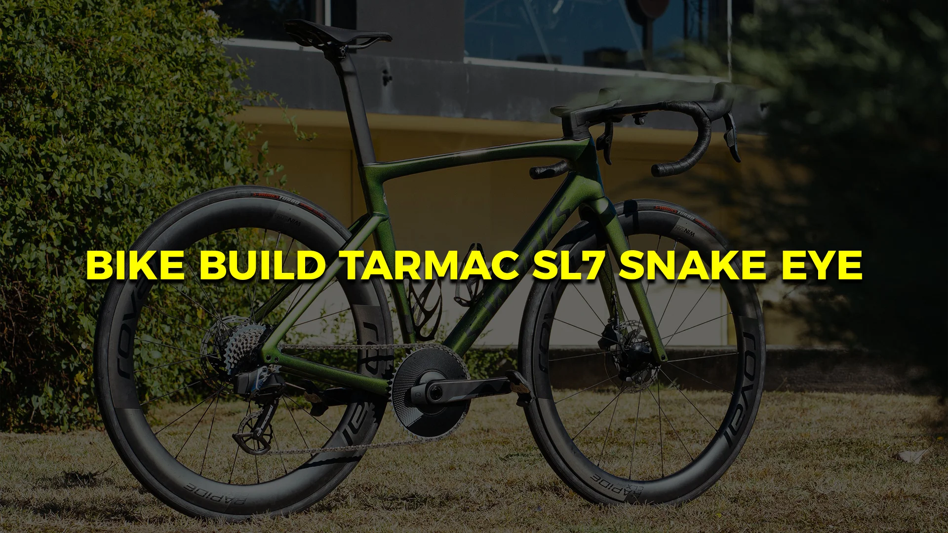 Specialized tarmac best sale sl7 snake eye