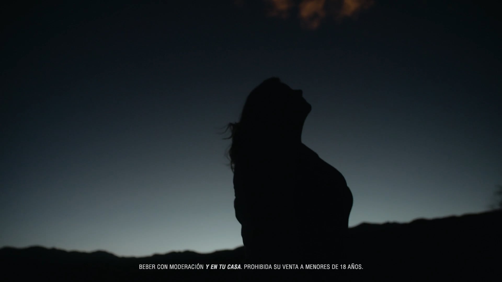 Cerveza Corona - Viajes Con Conexión - Salta - Dir. Dana Campanello