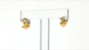 14kt Two-Tone Gold Left-Right Earrings