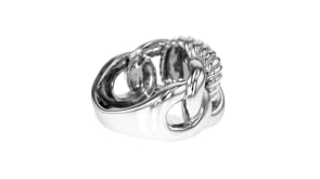 Sterling Silver Interlocking Circle Ring