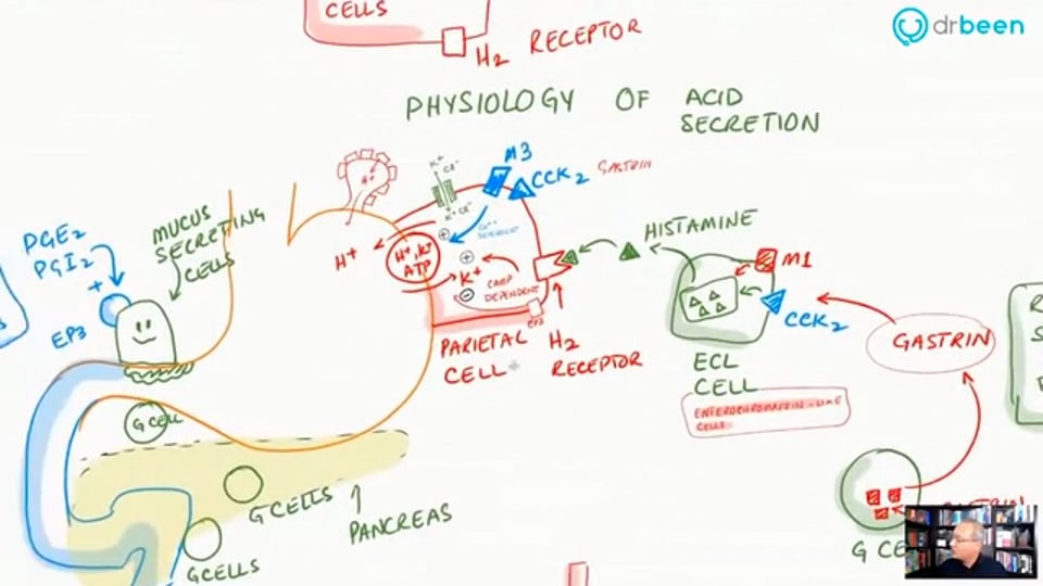 Famotidine (H2 Receptor Antagonist)