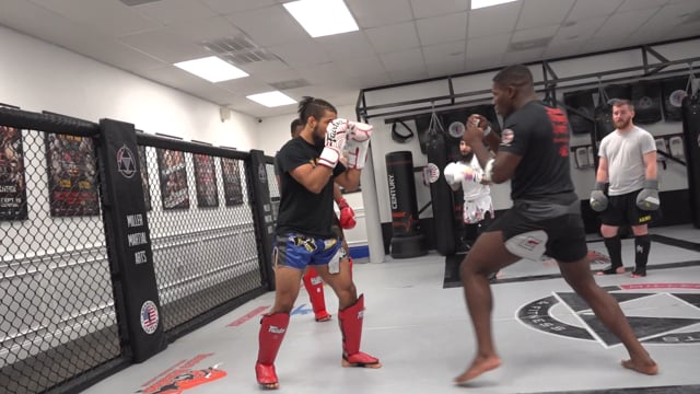 Setting Up Low Kicks