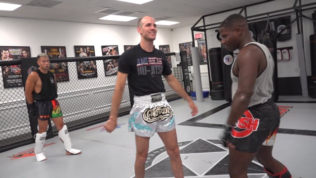 Punch and Kick Defense
