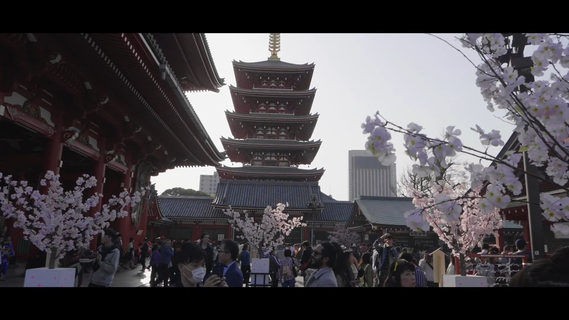 hanami 花見