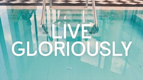 The Collective - Customer Success Story